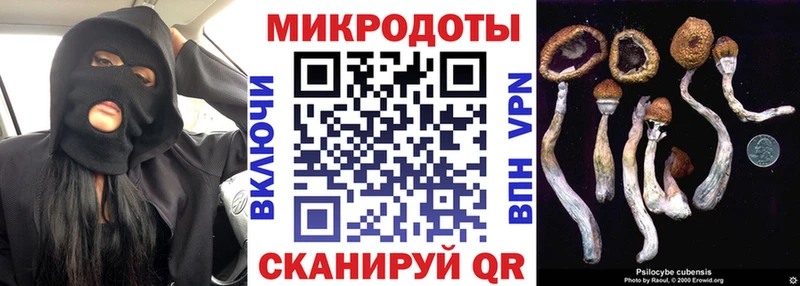 Псилоцибиновые грибы Psilocybe  Ясногорск 